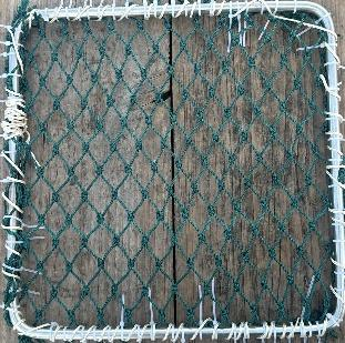 聚乙烯网片0个月实际照片