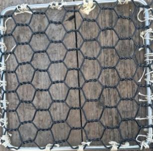 PET网片0个月实际照片