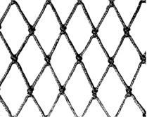 PET网片0个月二值化图片