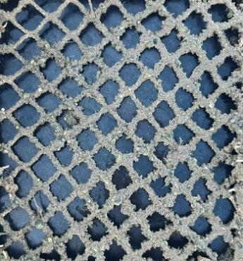 超高分子量聚乙烯网片2个月实际照片