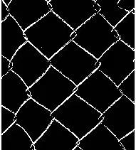 高清合金网片2个月二值化图片