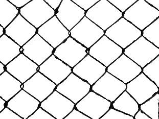 高清合金网片3个月二值化图片