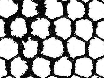 PET网片3个月二值化图片